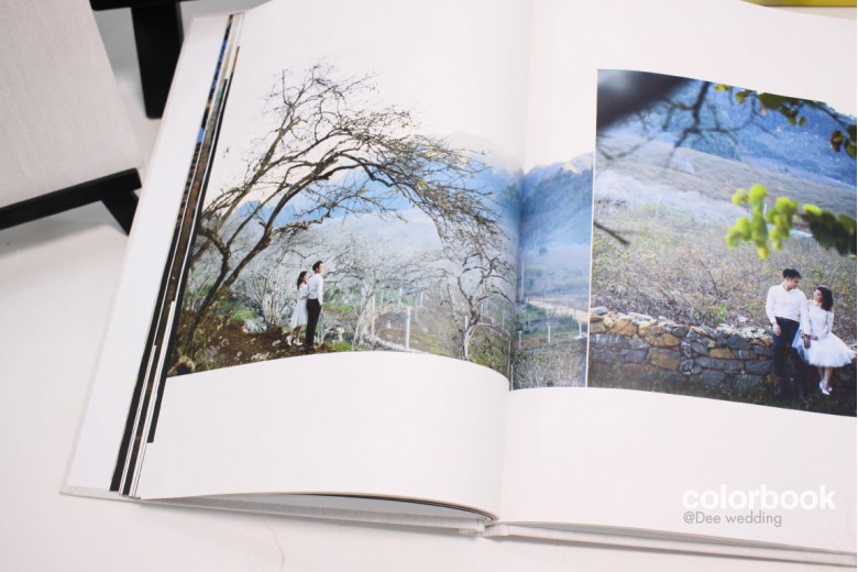 Bộ sưu tập PHOTOBOOK TẠP CHÍ NGHỆ THUẬT_Giấy Art Gân Ne _Bìa Len in màu